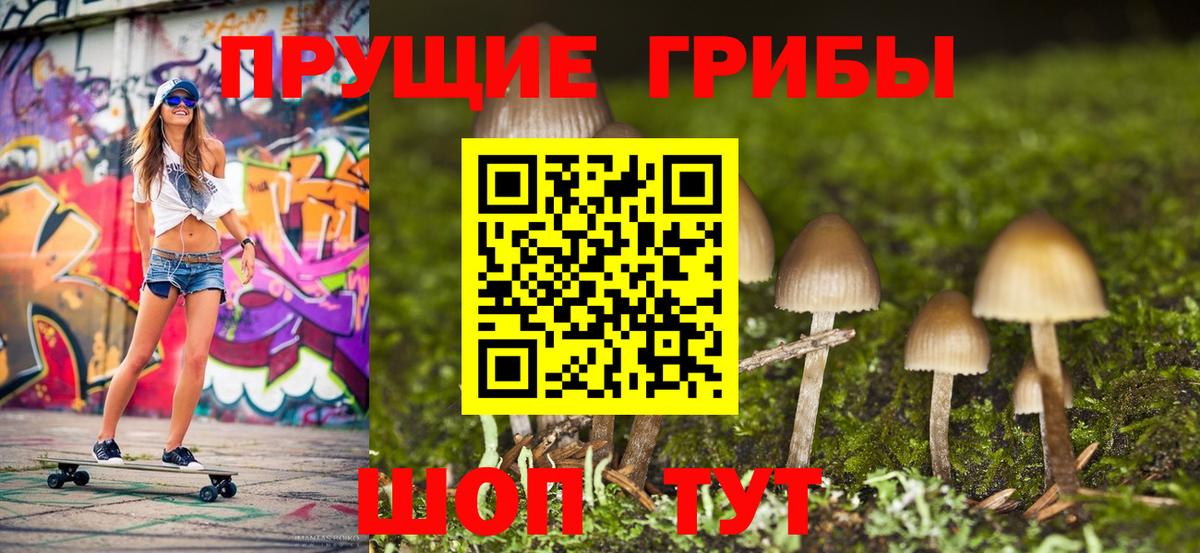 Псилоцибиновые грибы GOLDEN TEACHER  Вход с VPN  Южноуральск 